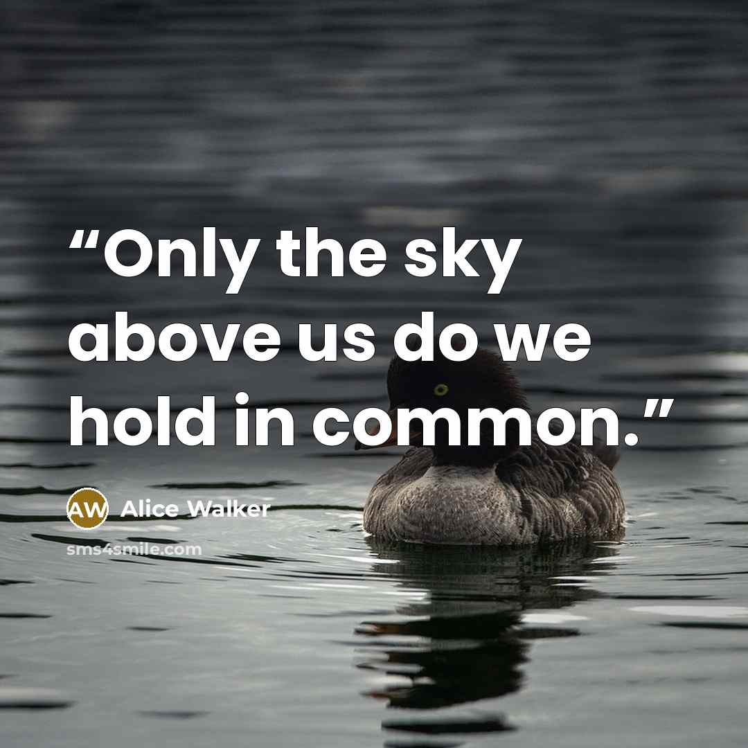 “Only the sky above us do we hold in common.” quote by Alice Walker
