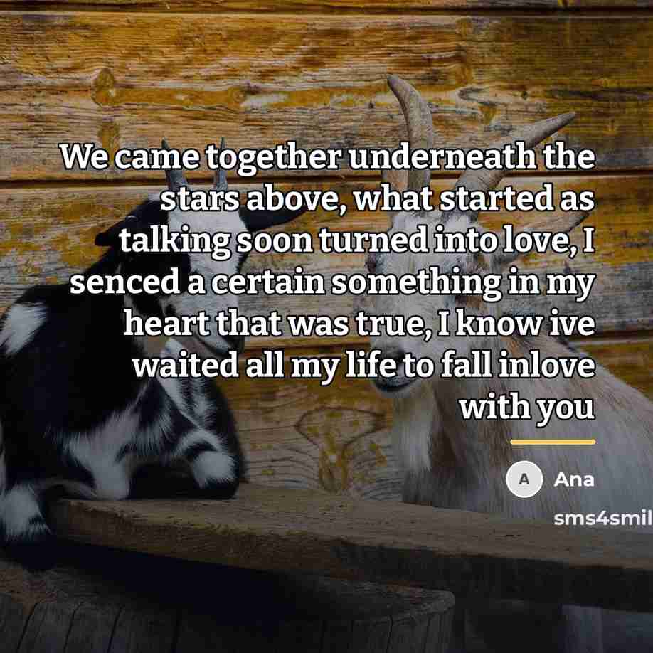 “We came together underneath the stars above, what started as…” quote by Ana
