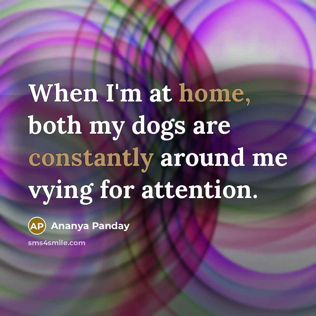 “When I'm at home, both my dogs are constantly around me vying for attention.” quote by Ananya Panday