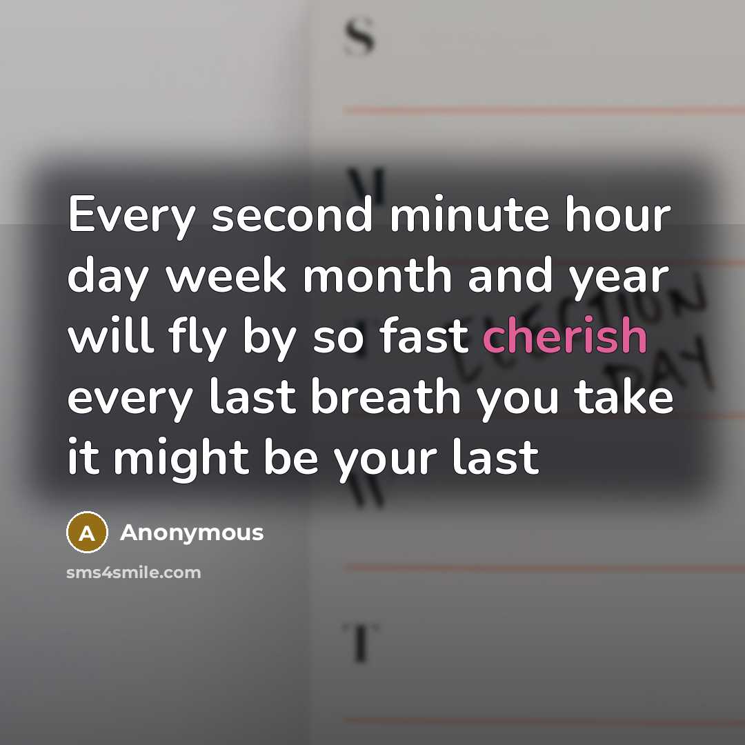 “Every second minute hour day week month and year will fly by so fast cherish every last breath you take it might be your last” quote by Anonymous