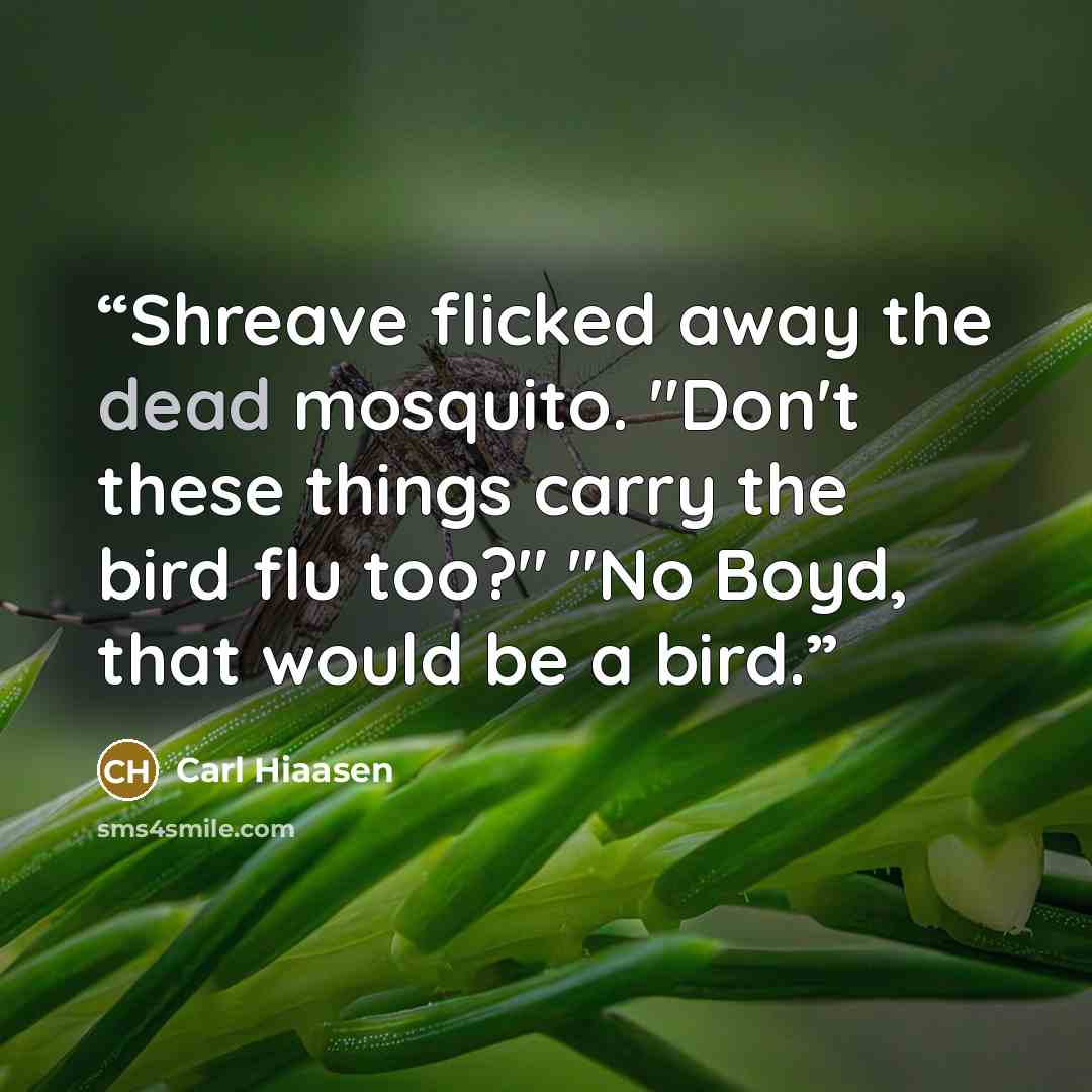 “Shreave flicked away the dead mosquito. "Don't these things carry the bird flu too?" "No Boyd, that would be a bird.” quote by Carl Hiaasen