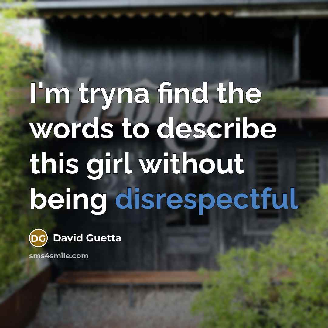 “I'm tryna find the words to describe this girl without being disrespectful” quote by David Guetta