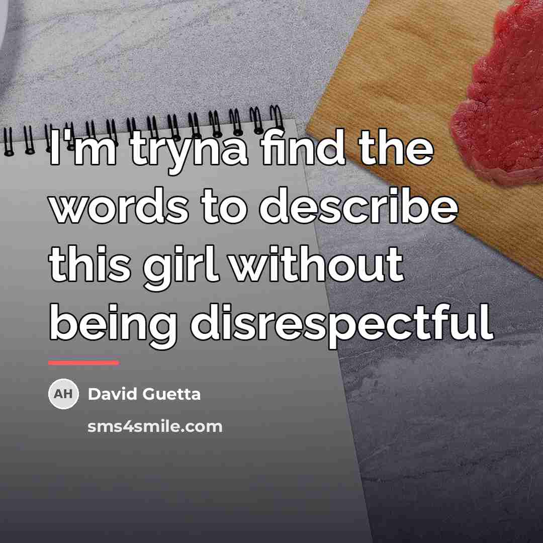 “I'm tryna find the words to describe this girl without…” quote by David Guetta