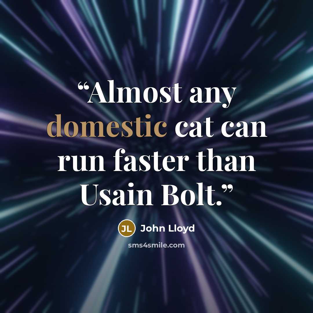 “Almost any domestic cat can run faster than Usain Bolt.” quote by John Lloyd