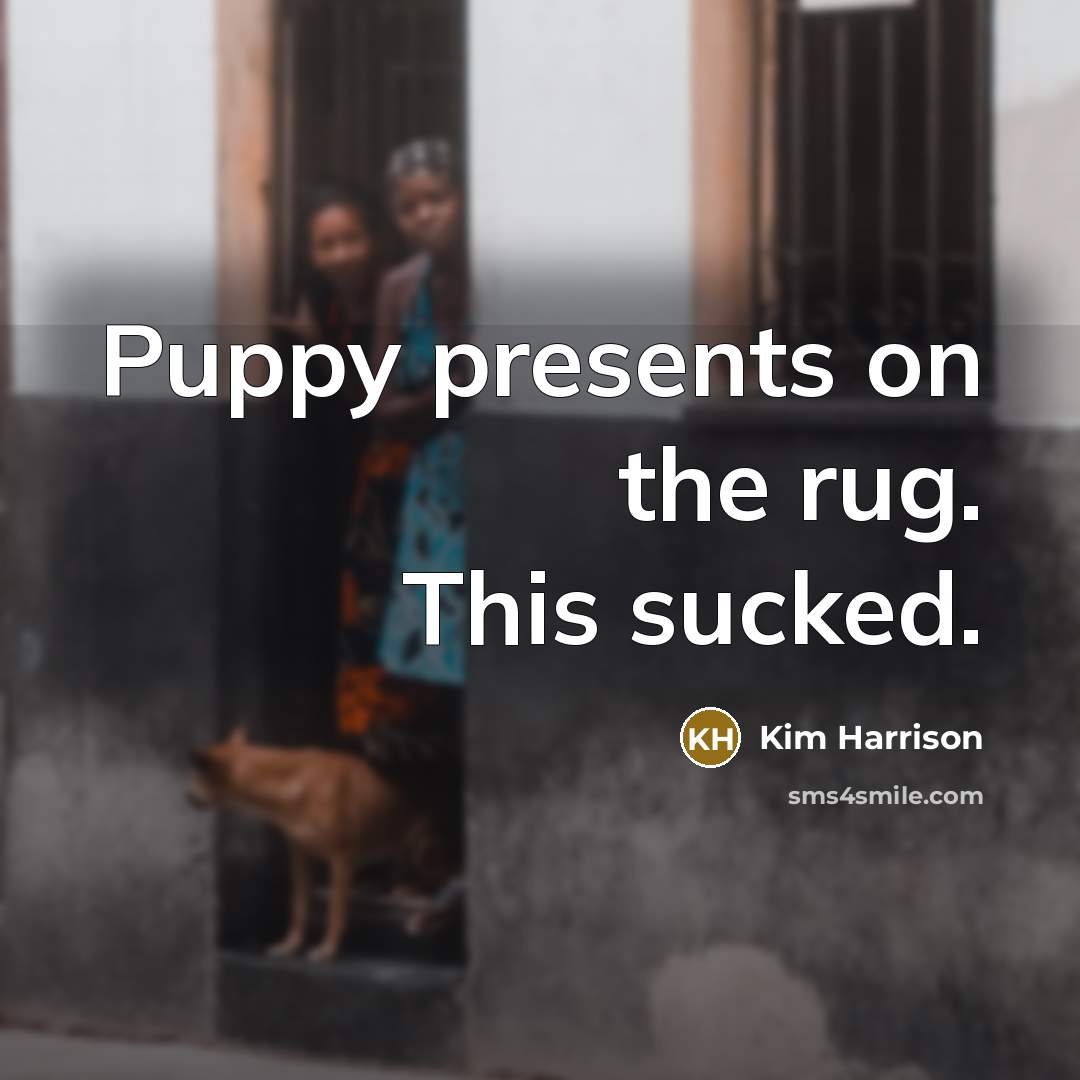 “Puppy presents on the rug. This sucked.…” quote by Kim Harrison