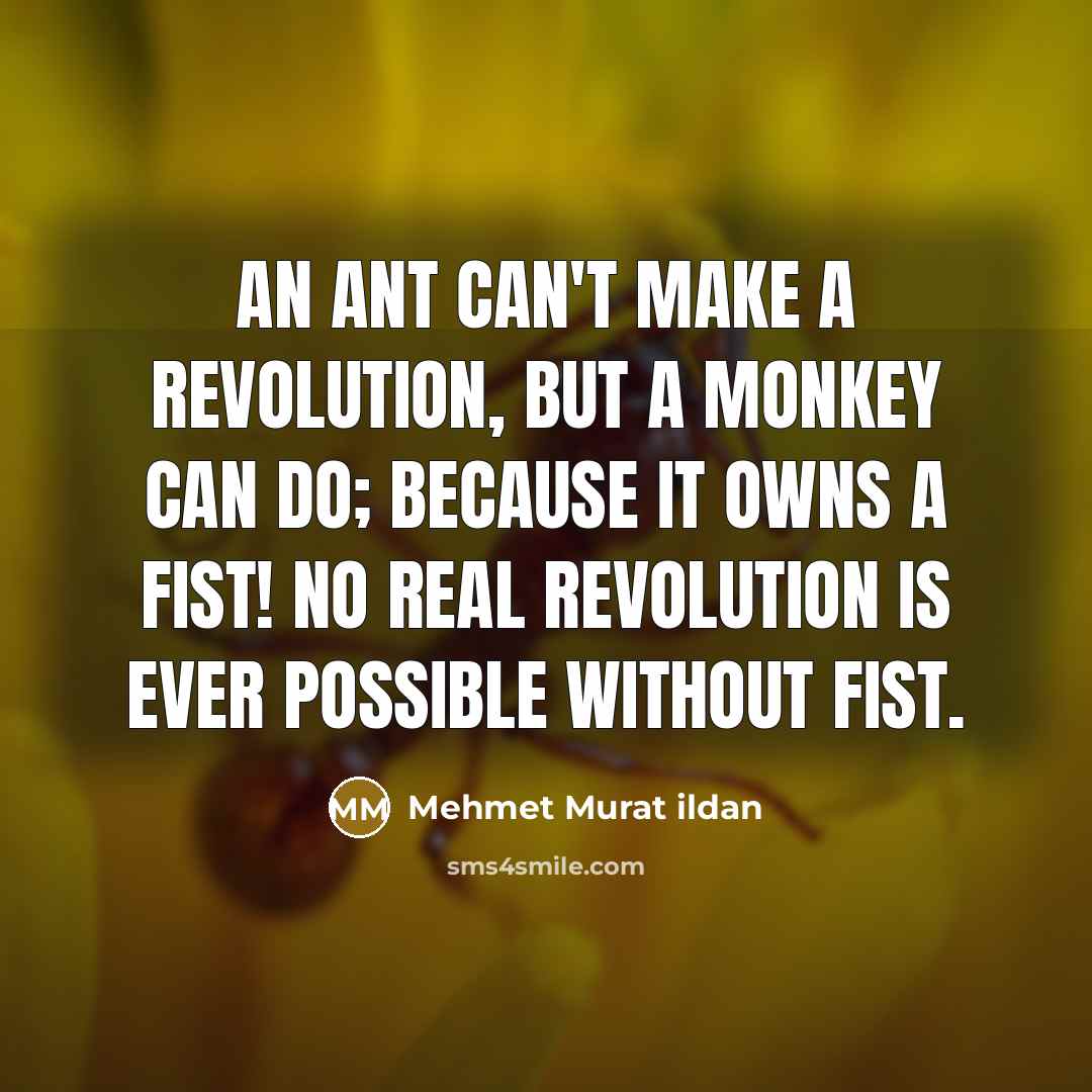 “An ant can't make a revolution, but a monkey can…” quote by Mehmet Murat Ildan