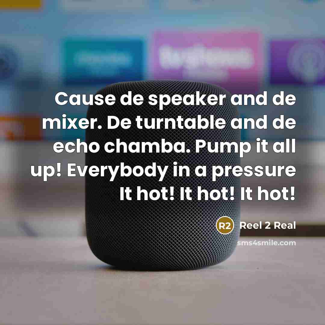 “Cause de speaker and de mixer. De turntable and de…” quote by Reel 2 Real