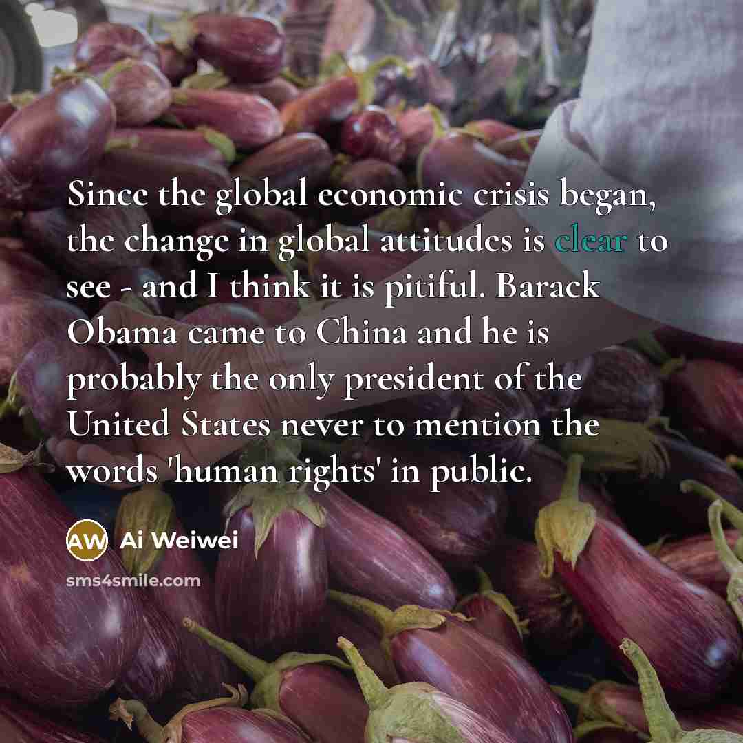 “Since the global economic crisis began, the change in global…” quote by Ai Weiwei