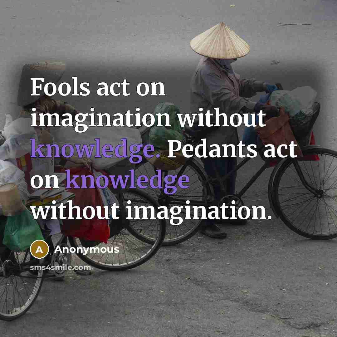 “Fools act on imagination without knowledge. Pedants act on knowledge without imagination.” quote by Anonymous