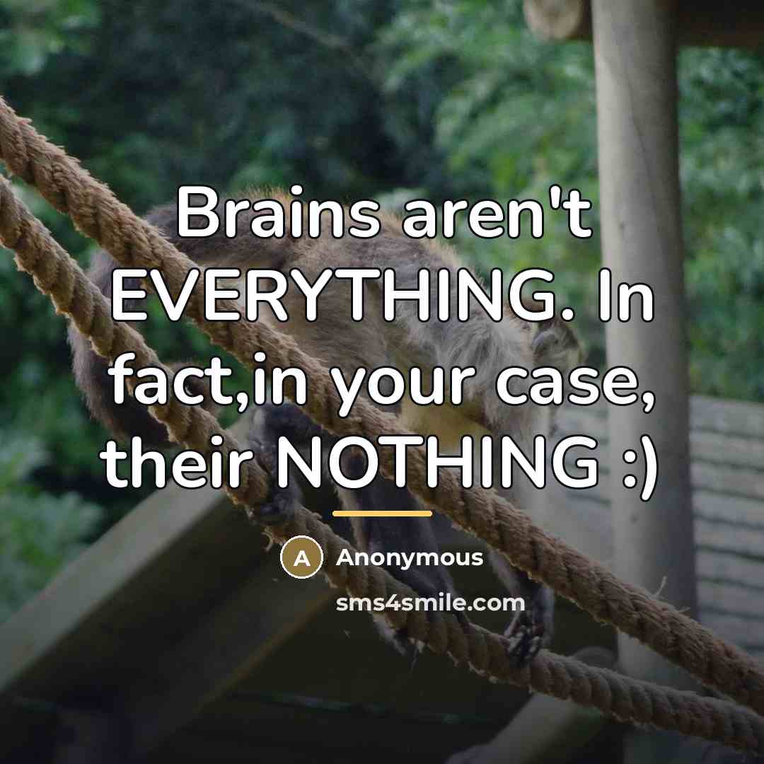 “Brains aren't EVERYTHING. In fact,in your case, their NOTHING :)…” quote by Anonymous