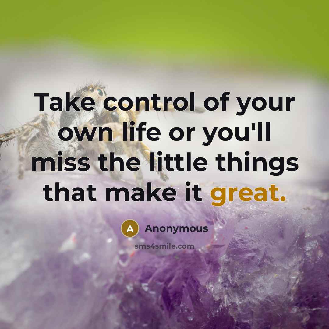 “Take control of your own life or you'll miss the…” quote by Anonymous