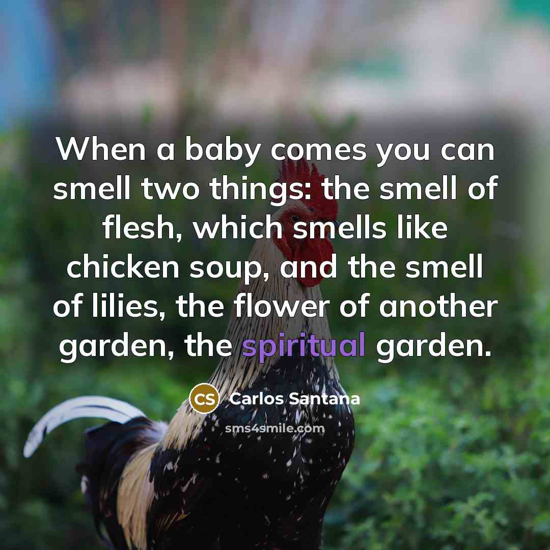 “When a baby comes you can smell two things: the…” quote by Carlos Santana