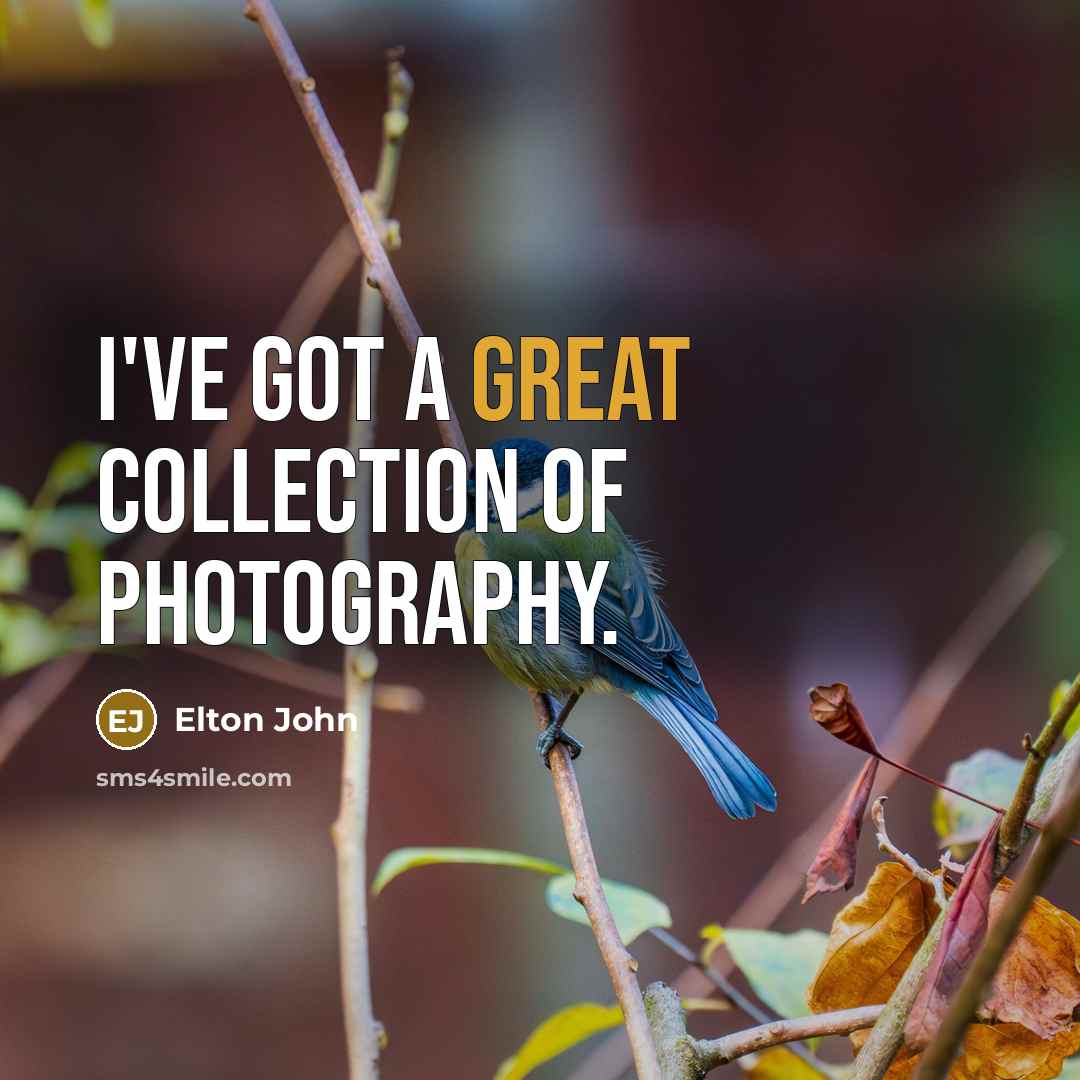 “I've got a great collection of photography.” quote by Elton John