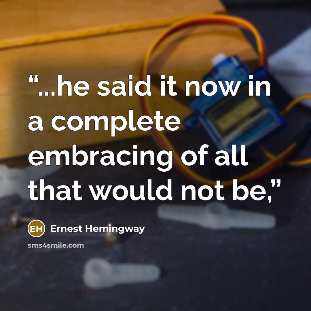 “...he said it now in a complete embracing of all that would not be,” quote by Ernest Hemingway