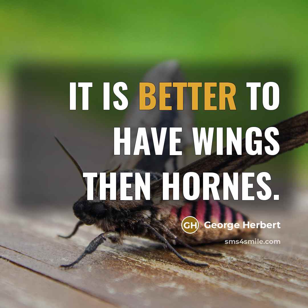 “It is better to have wings then hornes.” quote by George Herbert