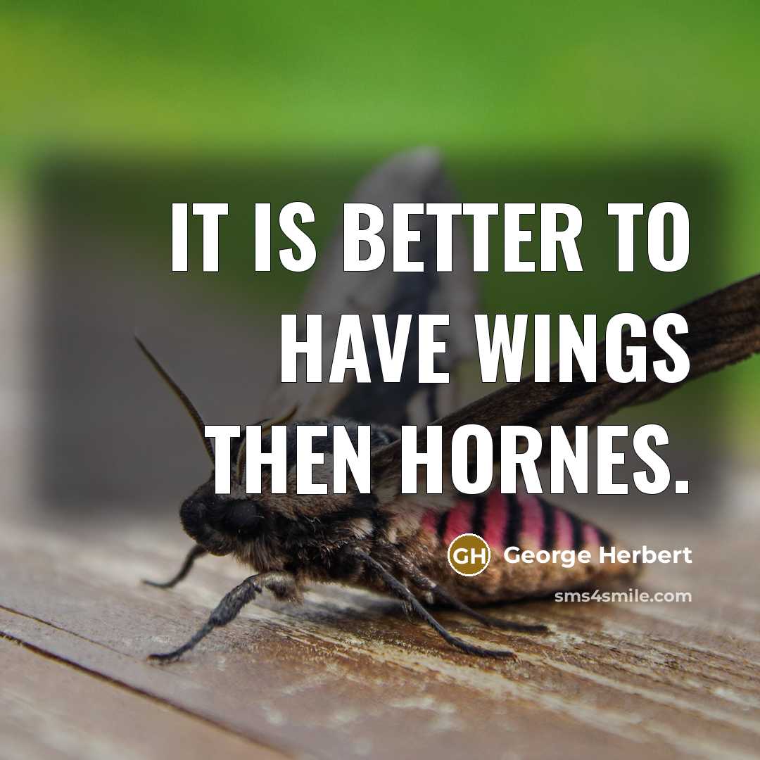 “It is better to have wings then hornes.…” quote by George Herbert