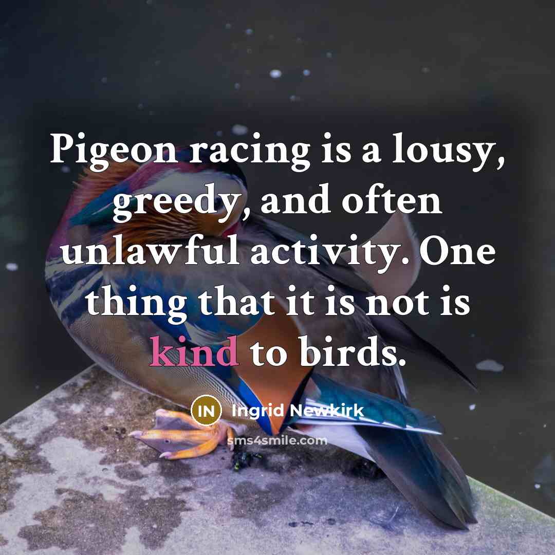 “Pigeon racing is a lousy, greedy, and often unlawful activity.…” quote by Ingrid Newkirk