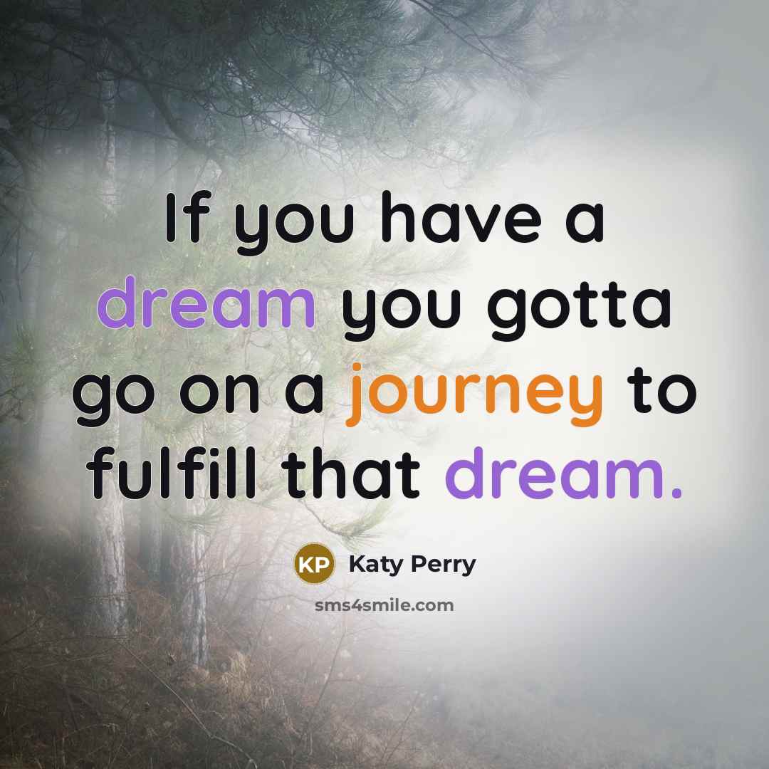 “If you have a dream you gotta go on a…” quote by Katy Perry