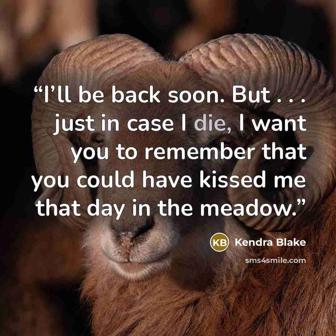 “I’ll be back soon. But . . . just in case I die, I want you to remember that you could have kissed me that day in the meadow.” quote by Kendra Blake
