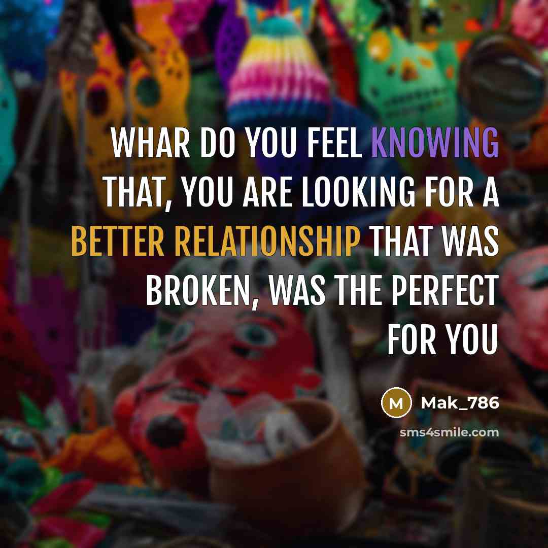 “Whar Do you feel knowing that, you are looking for a better relationship that was broken, was the perfect for you” quote by Mak_786