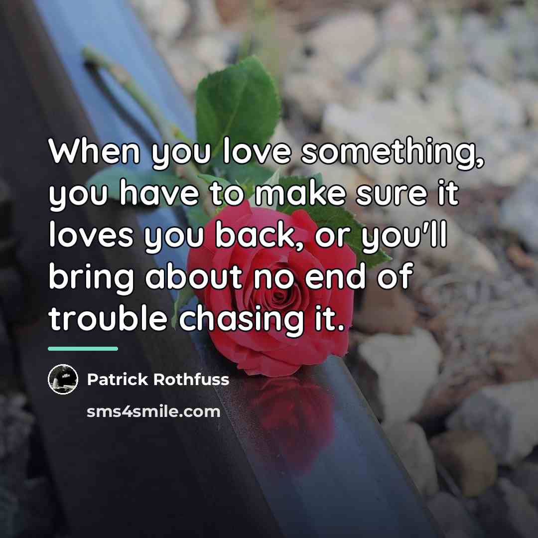 “When you love something, you have to make sure it…” quote by Patrick Rothfuss