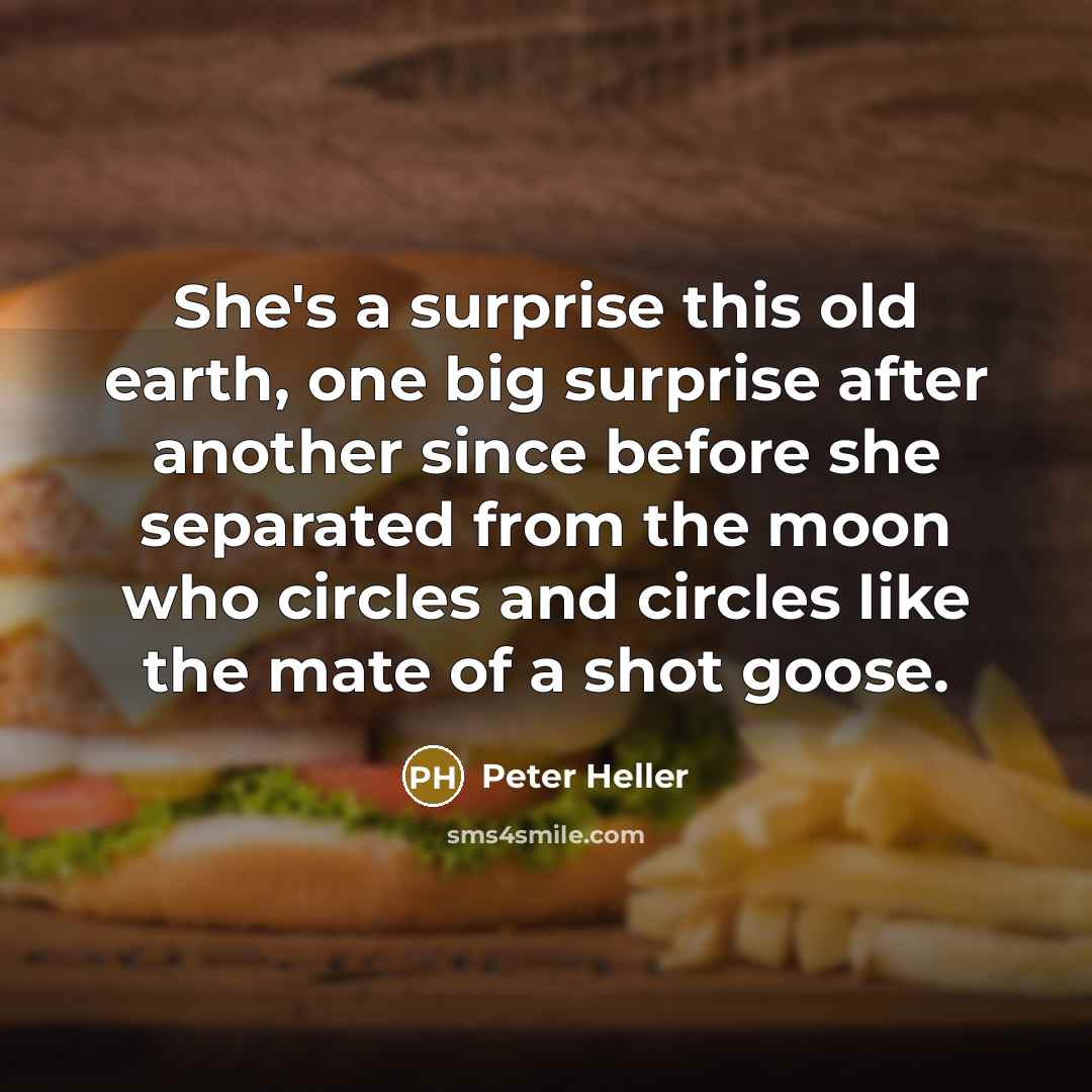“She's a surprise this old earth, one big surprise after another since before she separated from the moon who circles and circles like the mate of a shot goose.” quote by Peter Heller