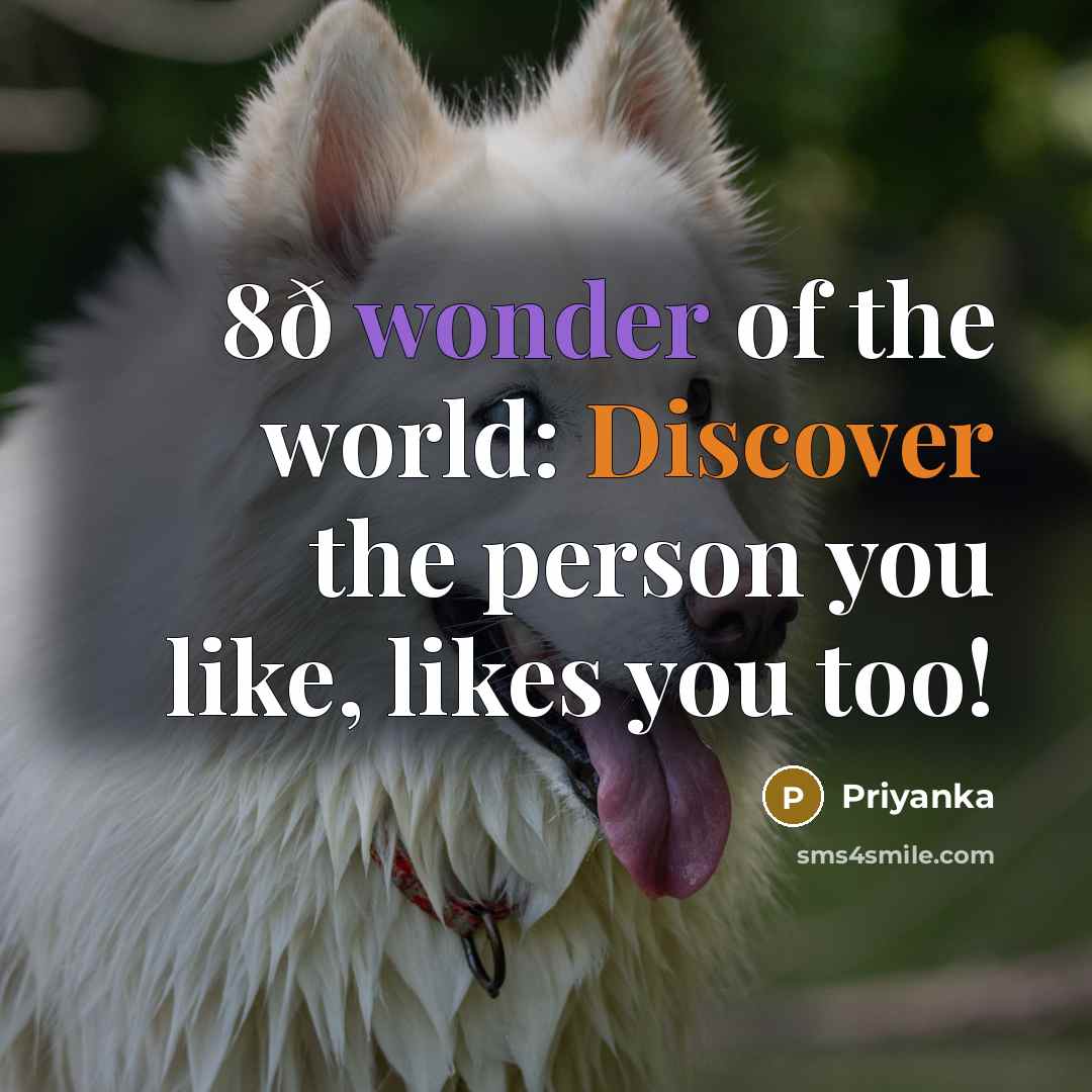 “8ð wonder of the world: Discover the person you like,…” quote by Priyanka