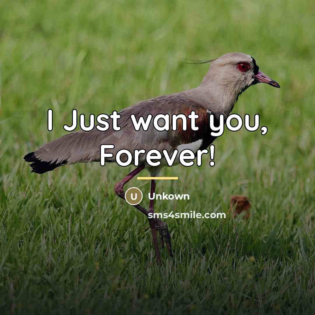 “I Just want you, Forever!…” quote by Unkown