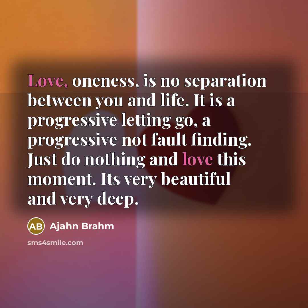 “Love, oneness, is no separation between you and life. It…” quote by Ajahn Brahm