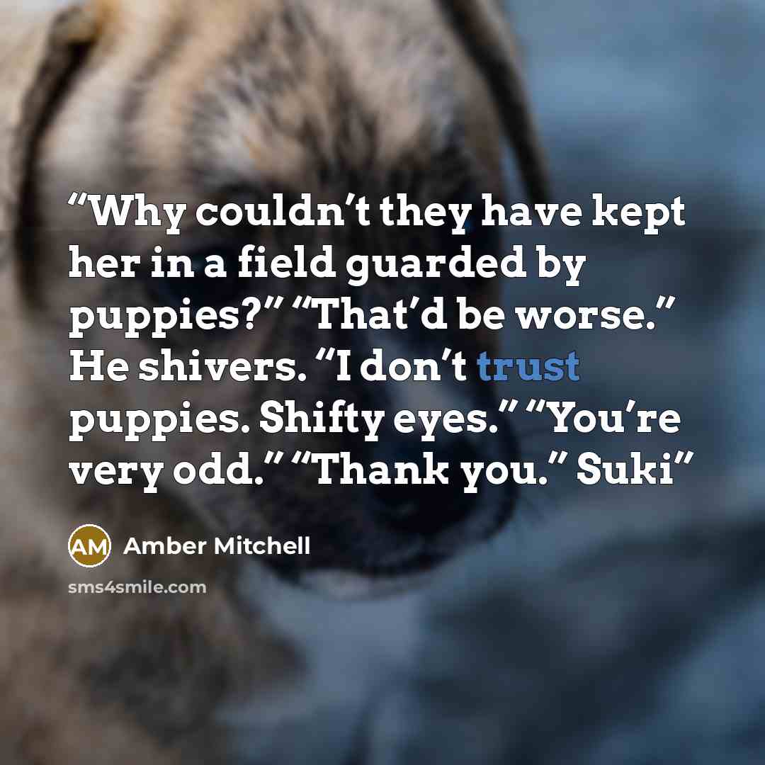“Why couldn’t they have kept her in a field guarded by puppies?” “That’d be worse.” He shivers. “I don’t trust puppies. Shifty eyes.” “You’re very odd.” “Thank you.” Suki” quote by Amber Mitchell