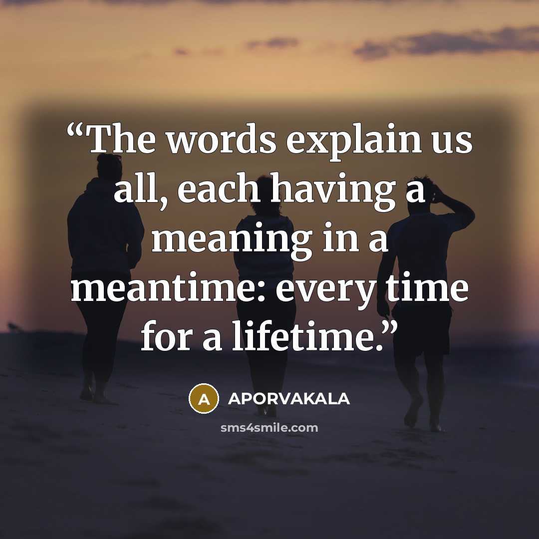 “The words explain us all, each having a meaning in a meantime: every time for a lifetime.” quote by APORVAKALA
