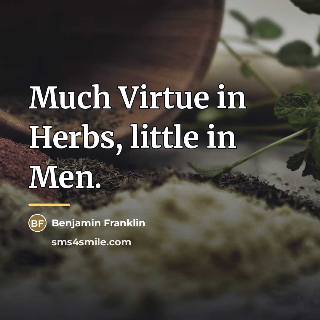 “Much Virtue in Herbs, little in Men.…” quote by Benjamin Franklin