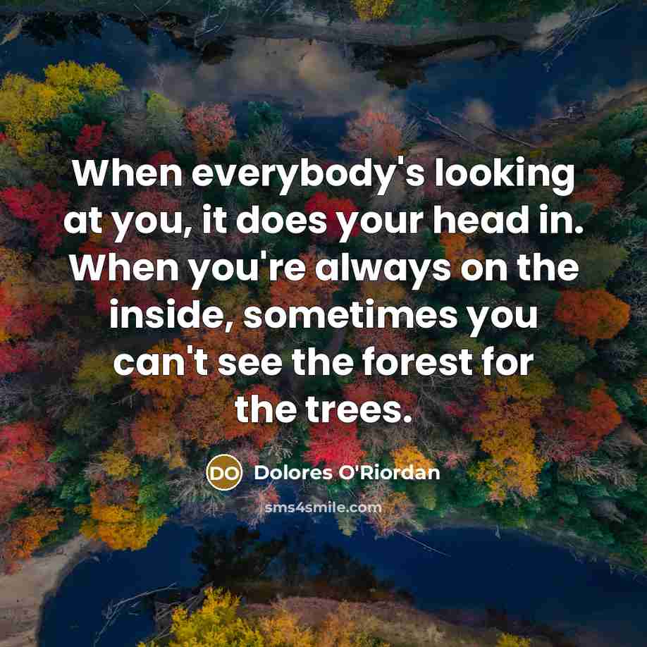 “When everybody's looking at you, it does your head in.…” quote by Dolores O'Riordan