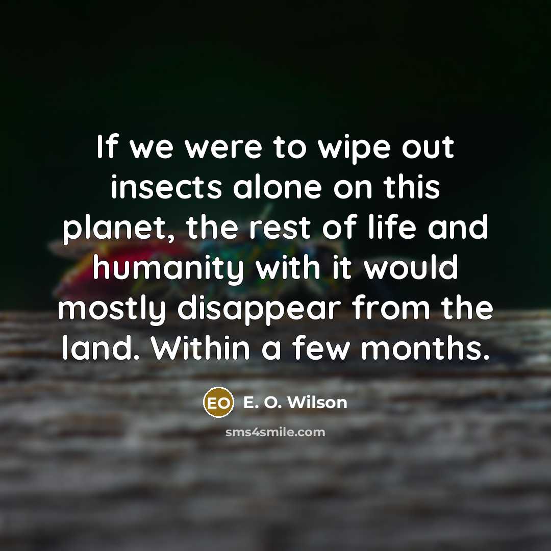 “If we were to wipe out insects alone on this…” quote by E. O. Wilson