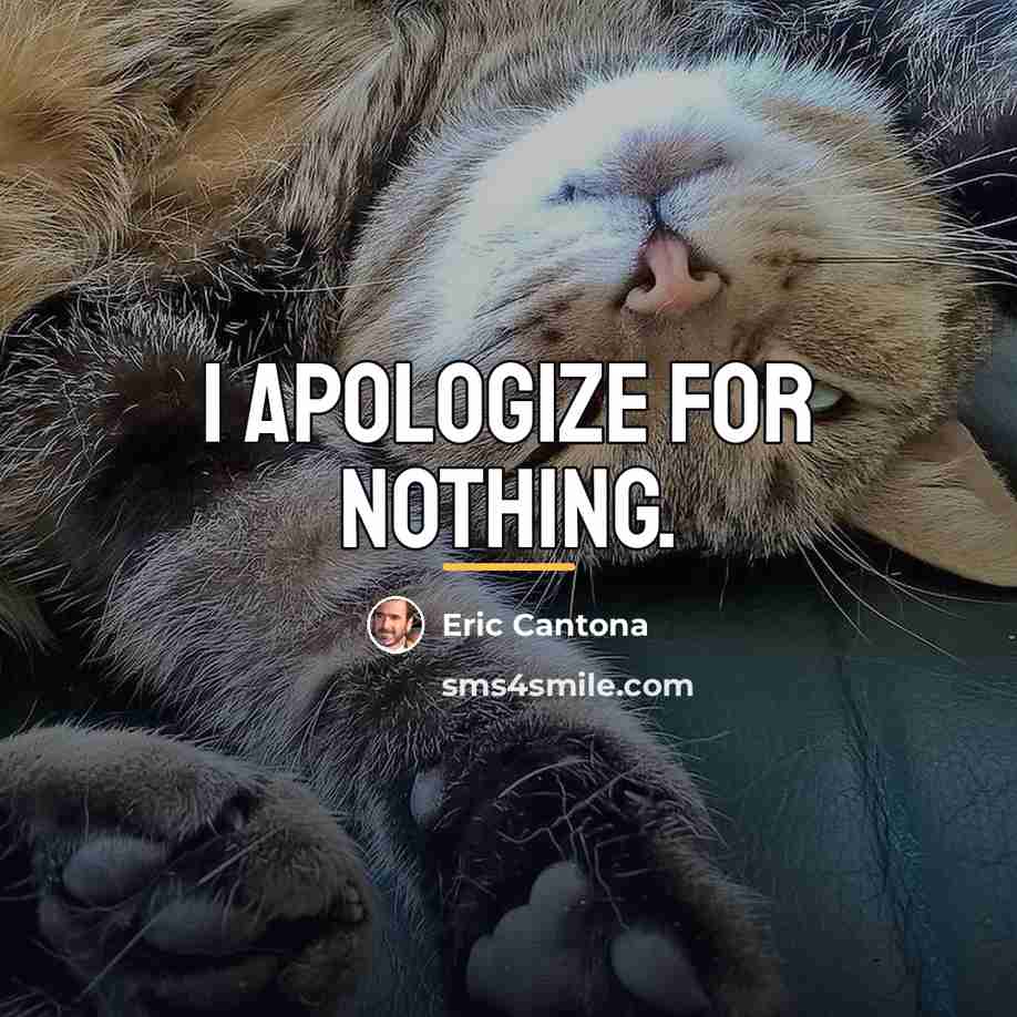 “I apologize for nothing.…” quote by Eric Cantona