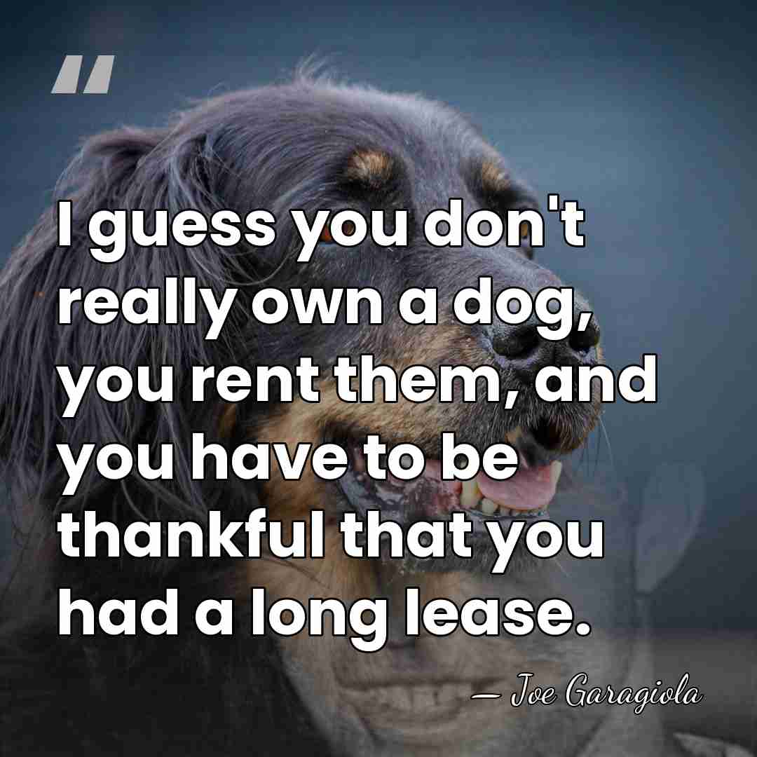 I guess you don't really own a dog, you rent them, and&hellip; - Joe Garagiola