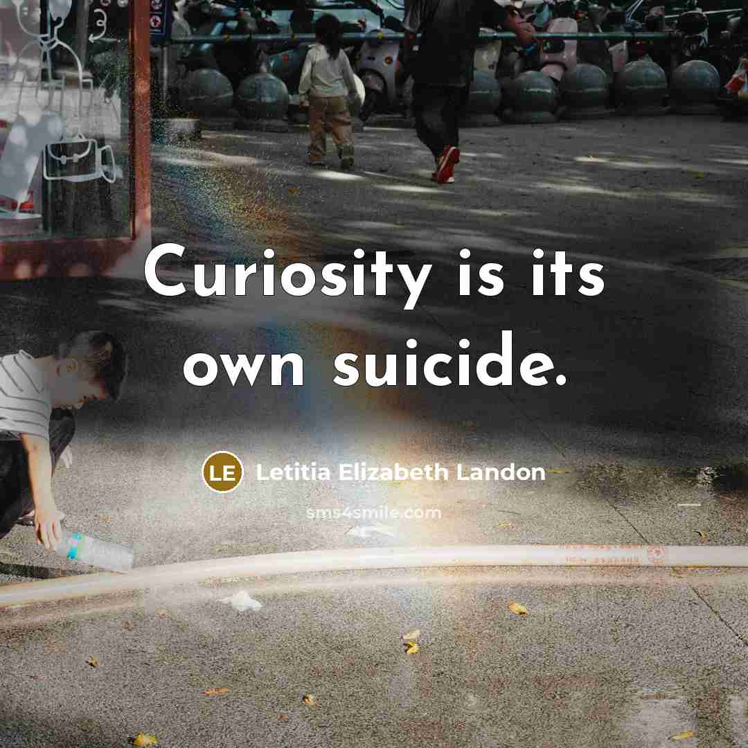 “Curiosity is its own suicide.…” quote by Letitia Elizabeth Landon