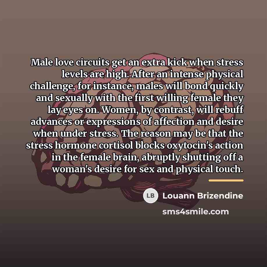 “Male love circuits get an extra kick when stress levels…” quote by Louann Brizendine