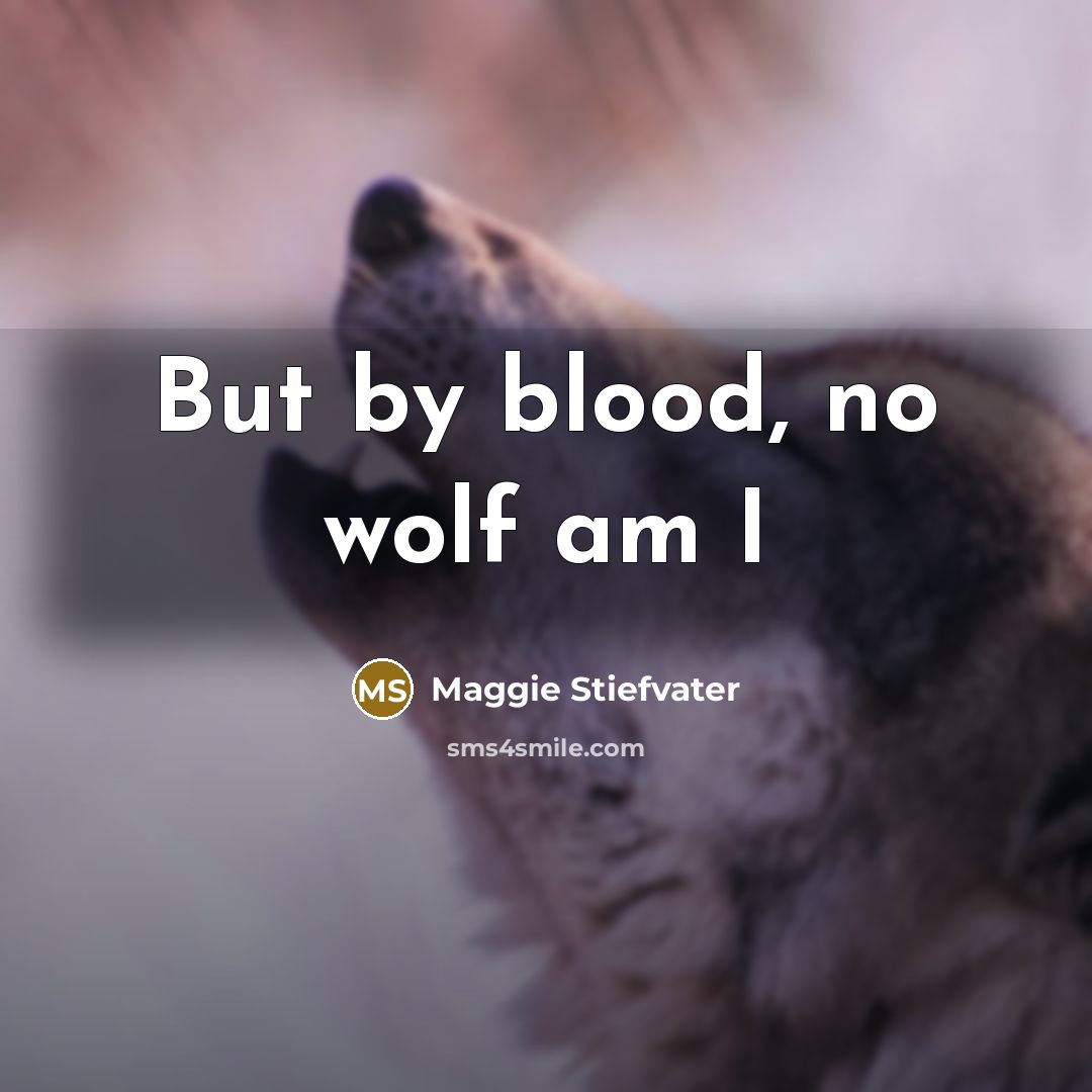 “But by blood, no wolf am I…” quote by Maggie Stiefvater