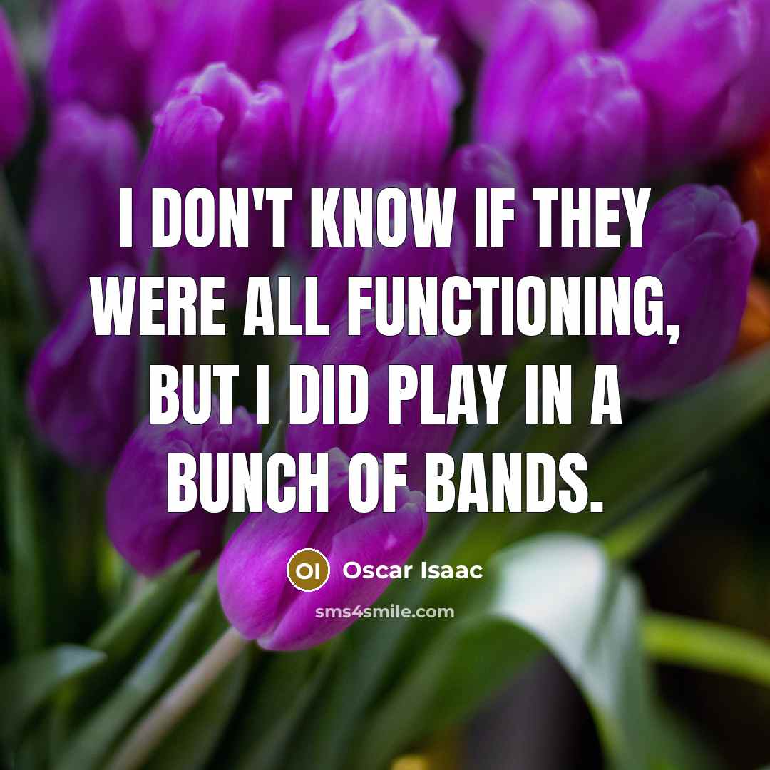 “I don't know if they were all functioning, but I…” quote by Oscar Isaac