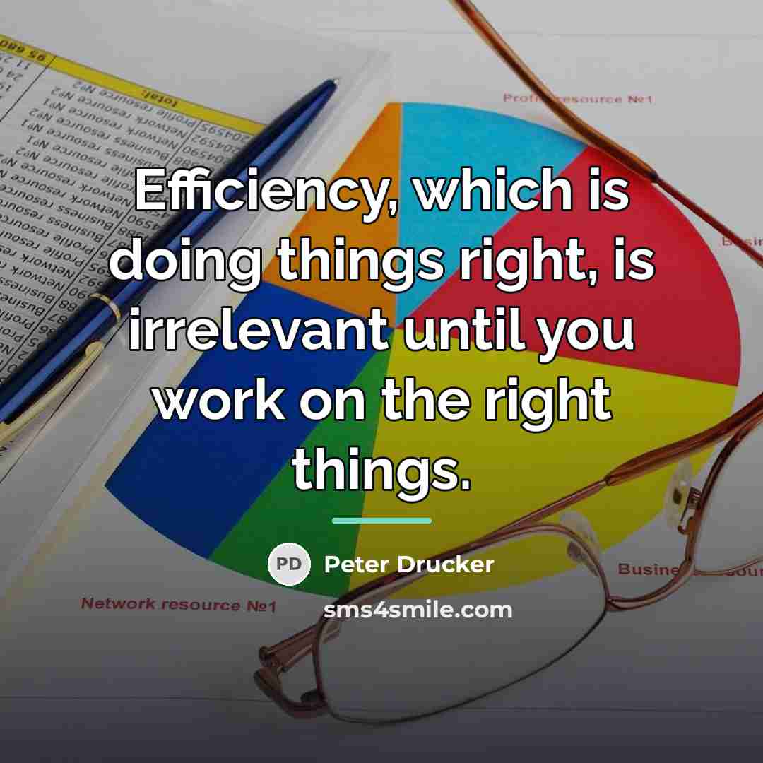 “Efficiency, which is doing things right, is irrelevant until you…” quote by Peter Drucker