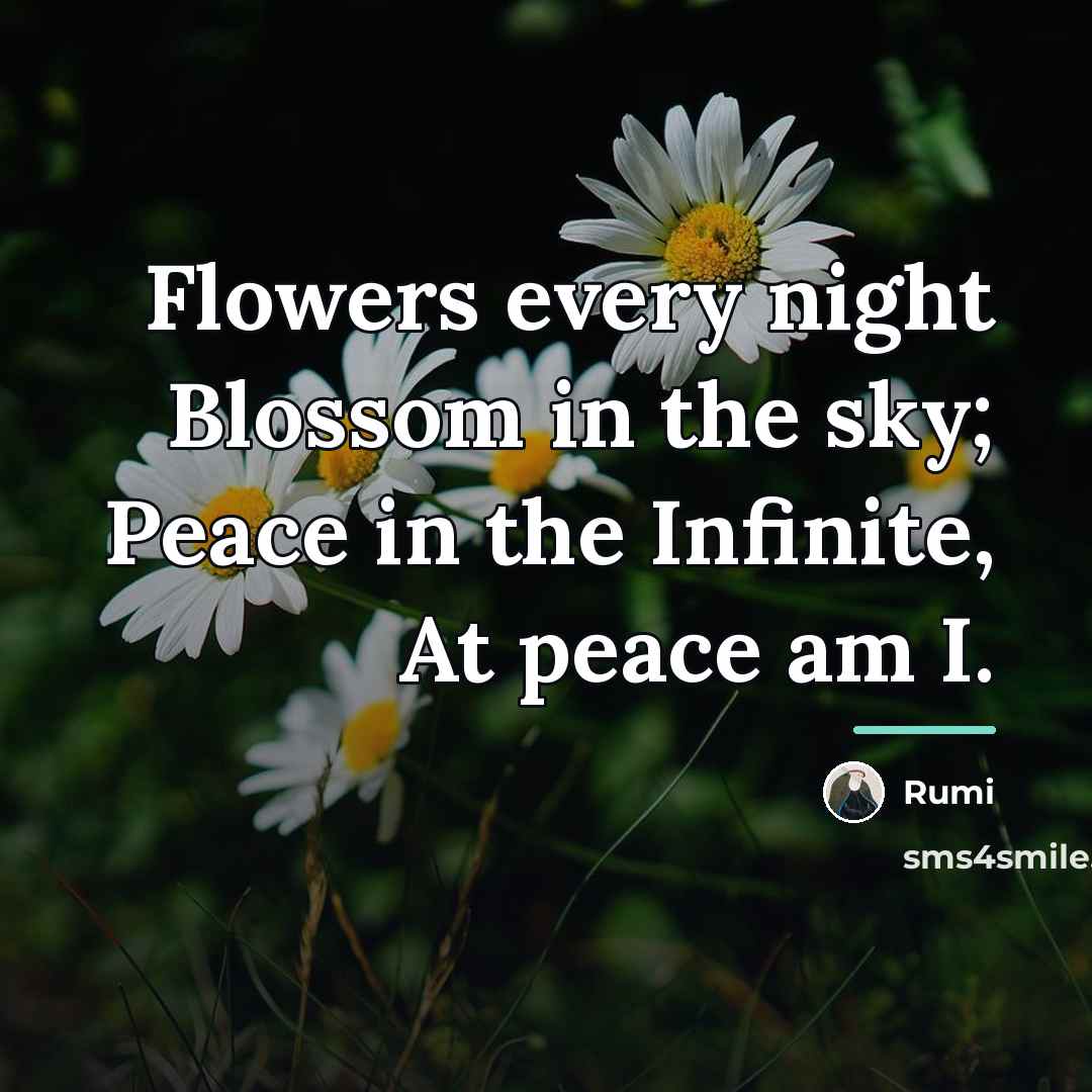 “Flowers every night Blossom in the sky; Peace in the…” quote by Rumi