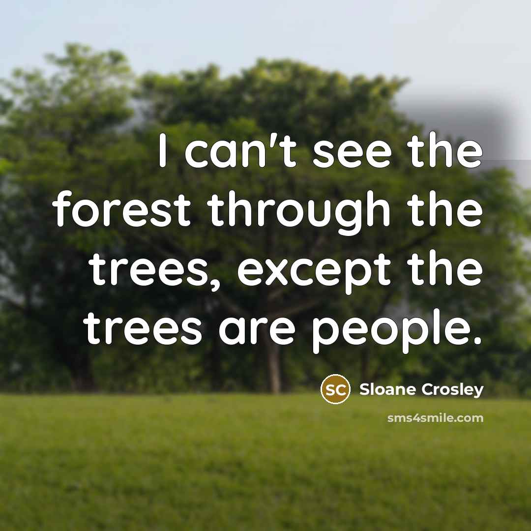 “I can't see the forest through the trees, except the…” quote by Sloane Crosley