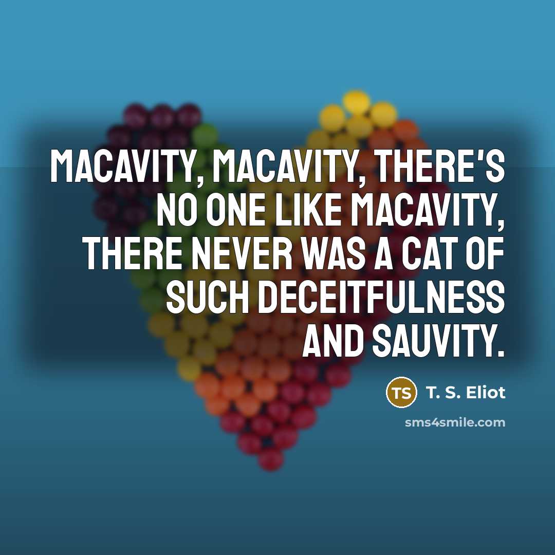 “Macavity, Macavity, there's no one like Macavity, there never was…” quote by T. S. Eliot