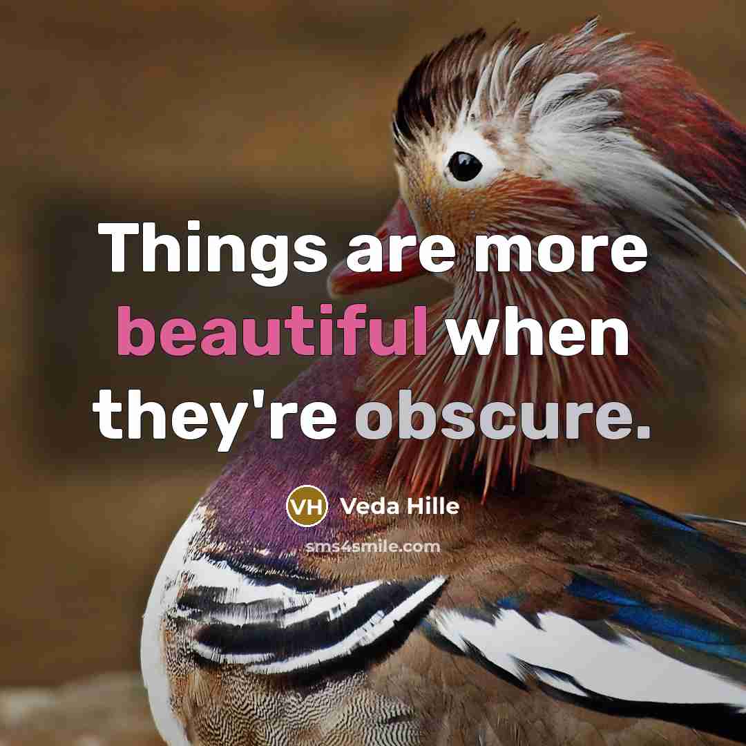 “Things are more beautiful when they're obscure.…” quote by Veda Hille