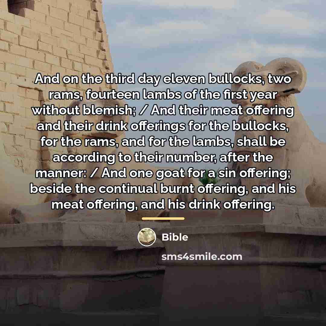 “And on the third day eleven bullocks, two rams, fourteen…” quote by Bible