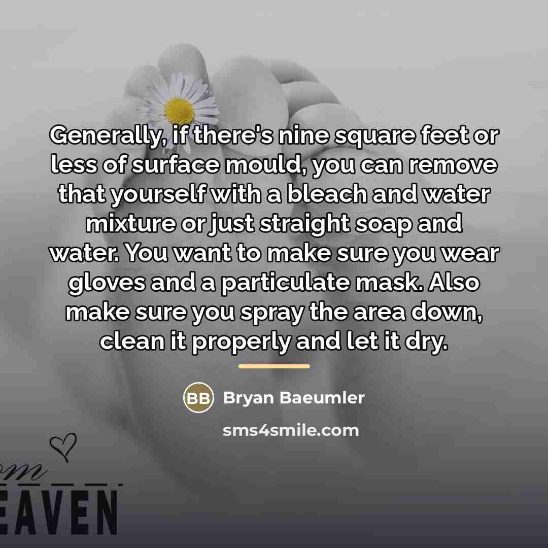 “Generally, if there's nine square feet or less of surface…” quote by Bryan Baeumler