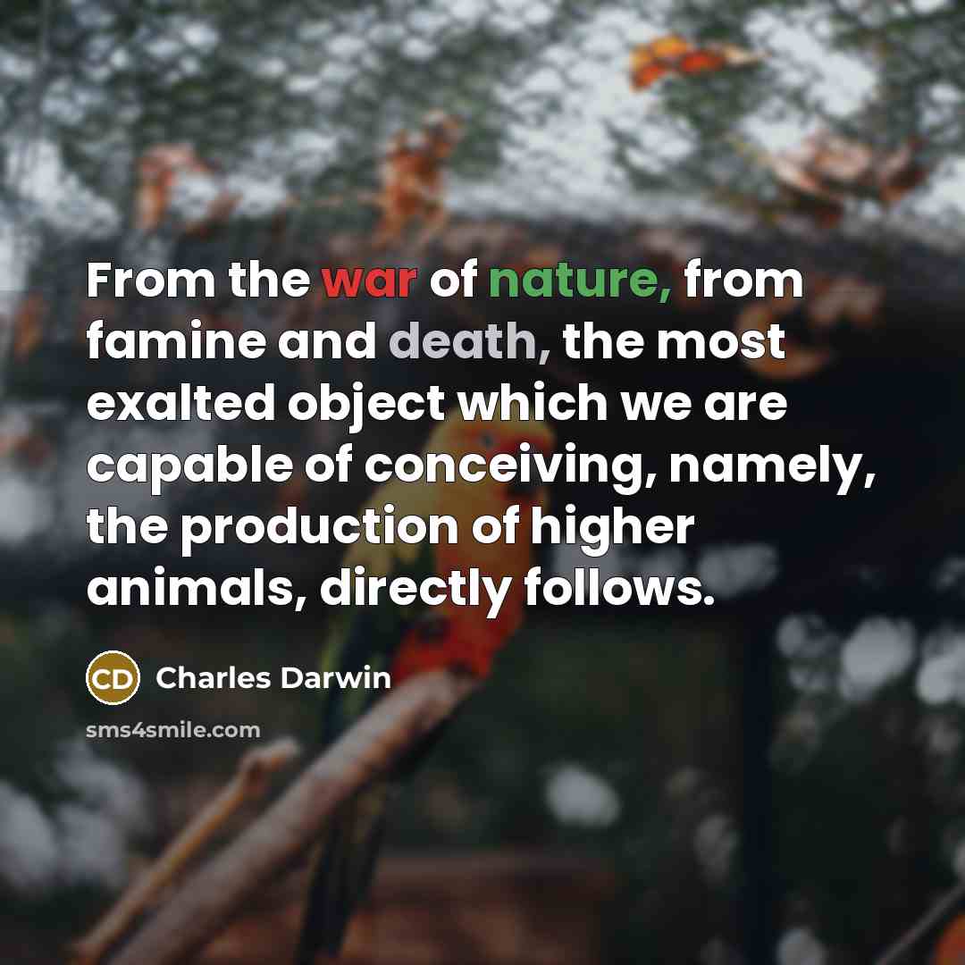 “From the war of nature, from famine and death, the…” quote by Charles Darwin