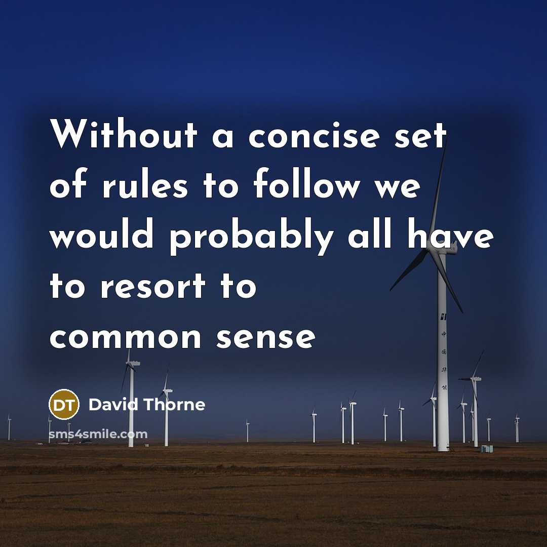 “Without a concise set of rules to follow we would…” quote by David Thorne