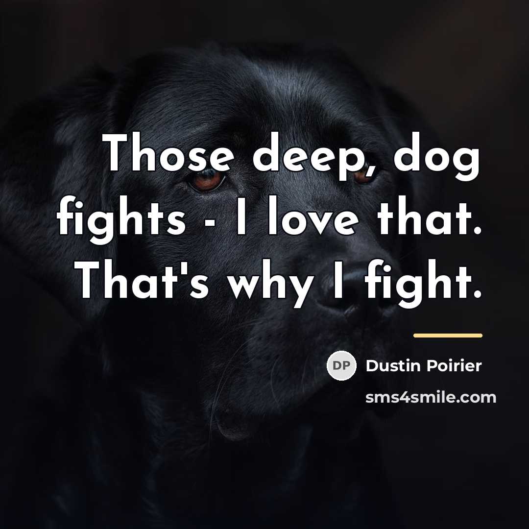 “Those deep, dog fights - I love that. That's why…” quote by Dustin Poirier